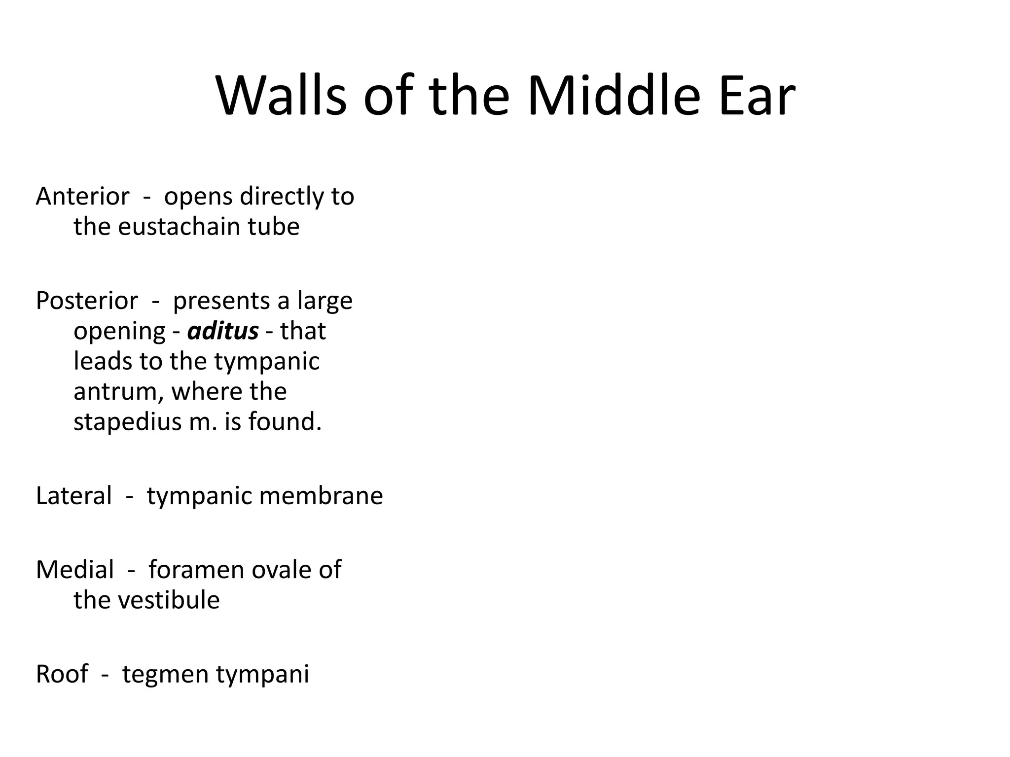 Walls of the Middle Ear
Anterior - opens directly to
   the eustachain tube

Posterior - presents a large
   opening - aditus - that
   leads to the tympanic
   antrum, where the
   stapedius m. is found.

Lateral - tympanic membrane

Medial - foramen ovale of
  the vestibule

Roof - tegmen tympani
 