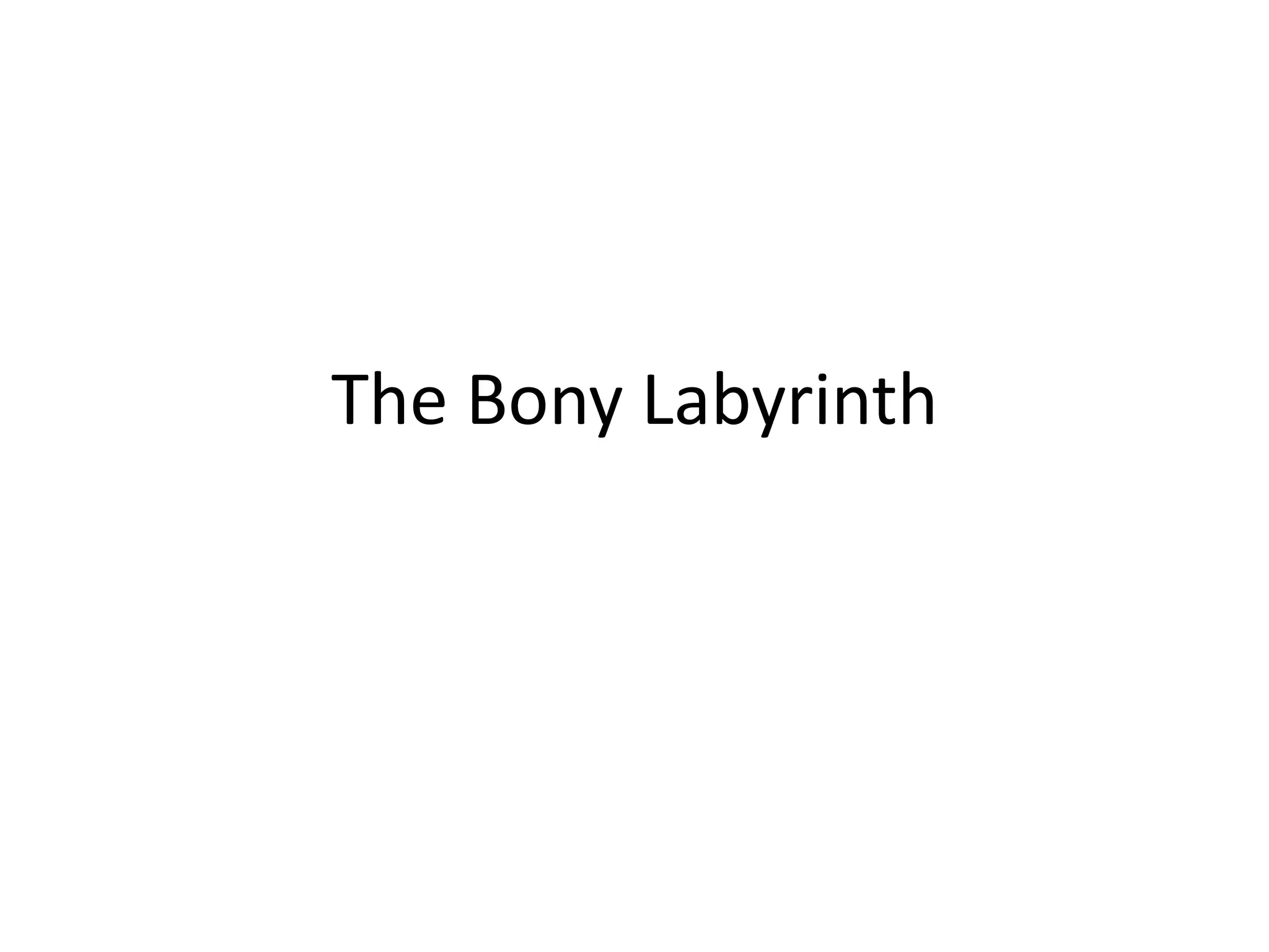 The Bony Labyrinth
 
