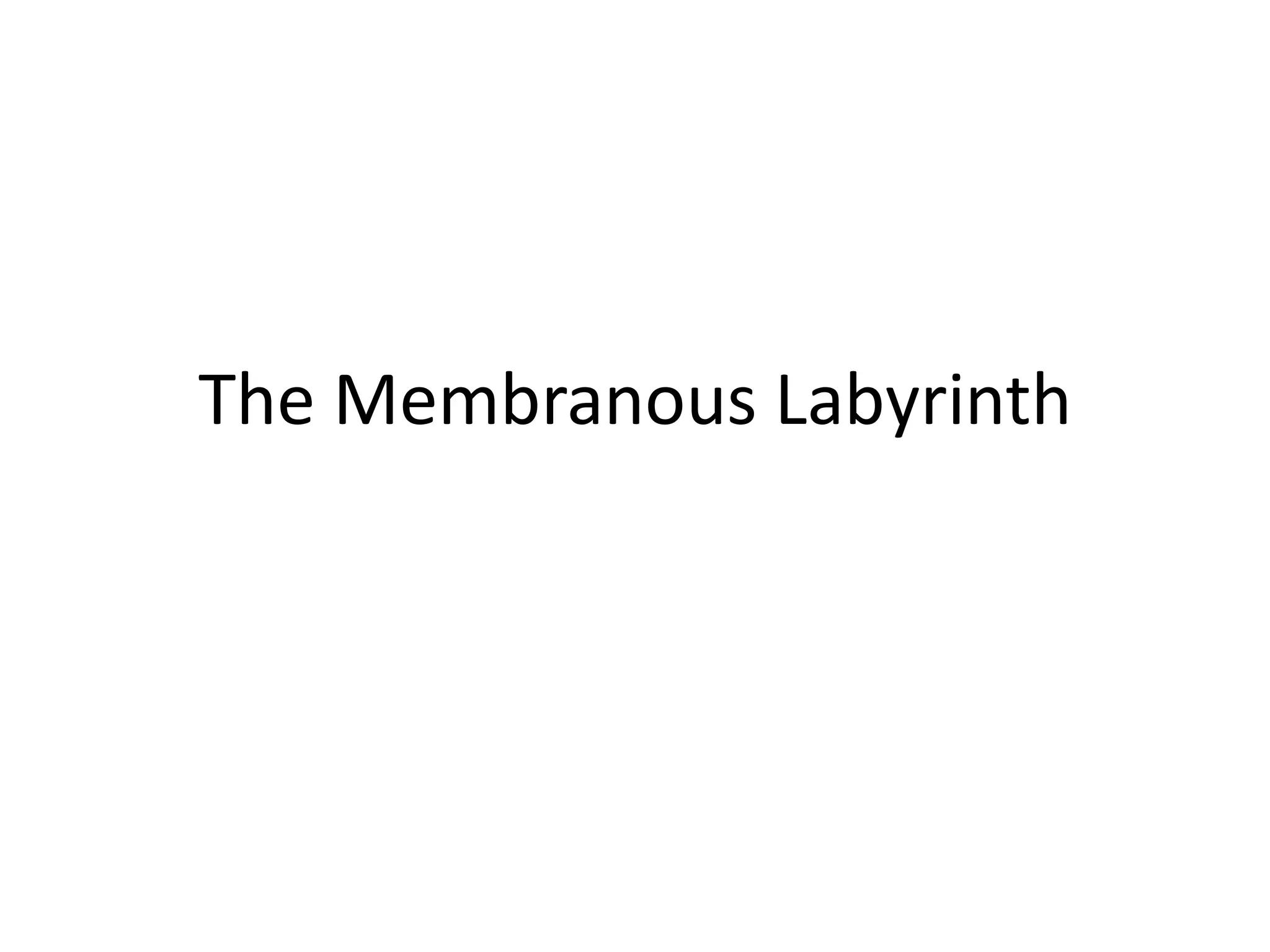 The Membranous Labyrinth
 