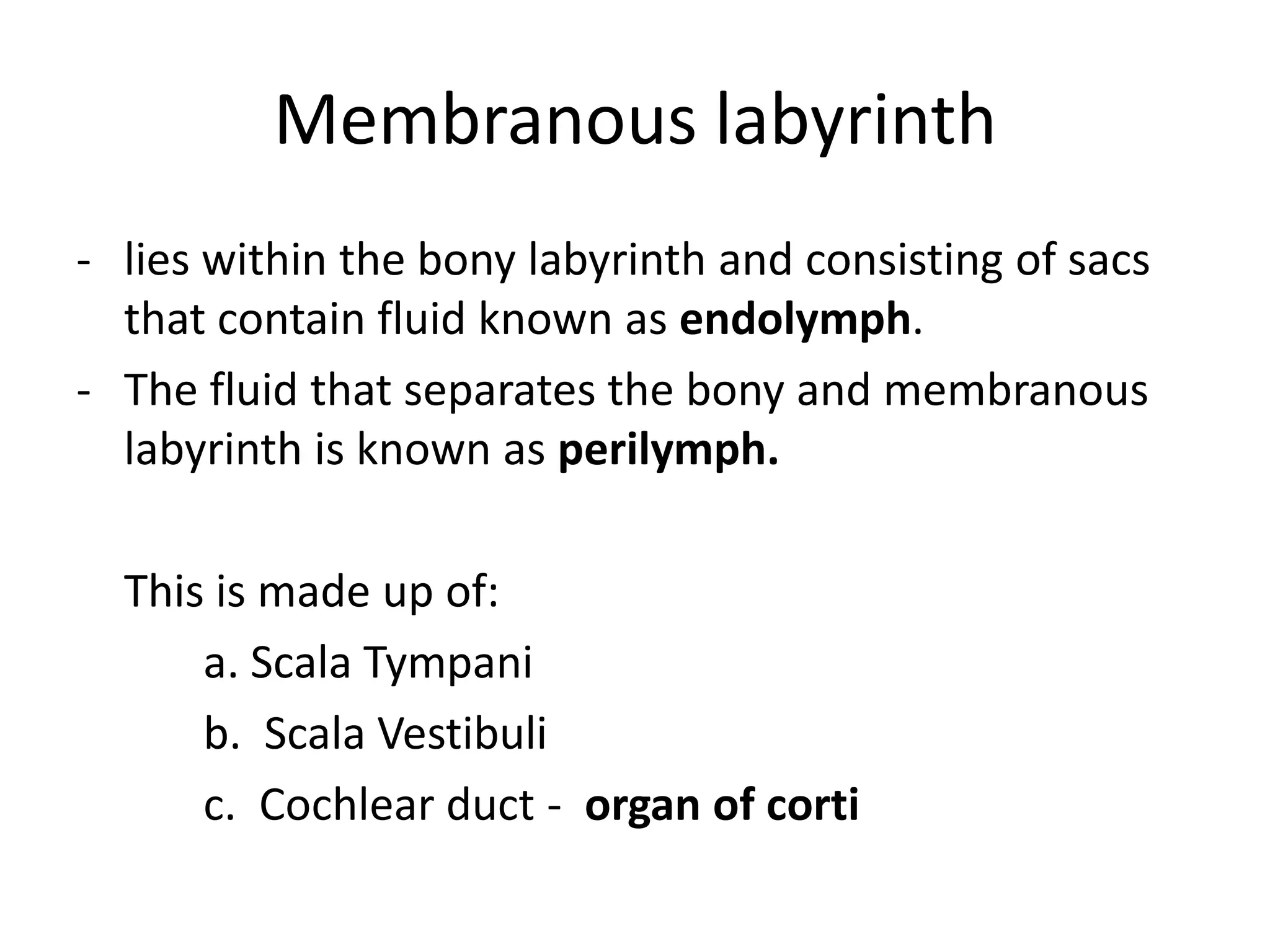 Membranous labyrinth
- lies within the bony labyrinth and consisting of sacs
  that contain fluid known as endolymph.
- The fluid that separates the bony and membranous
  labyrinth is known as perilymph.

  This is made up of:
      a. Scala Tympani
      b. Scala Vestibuli
      c. Cochlear duct - organ of corti
 