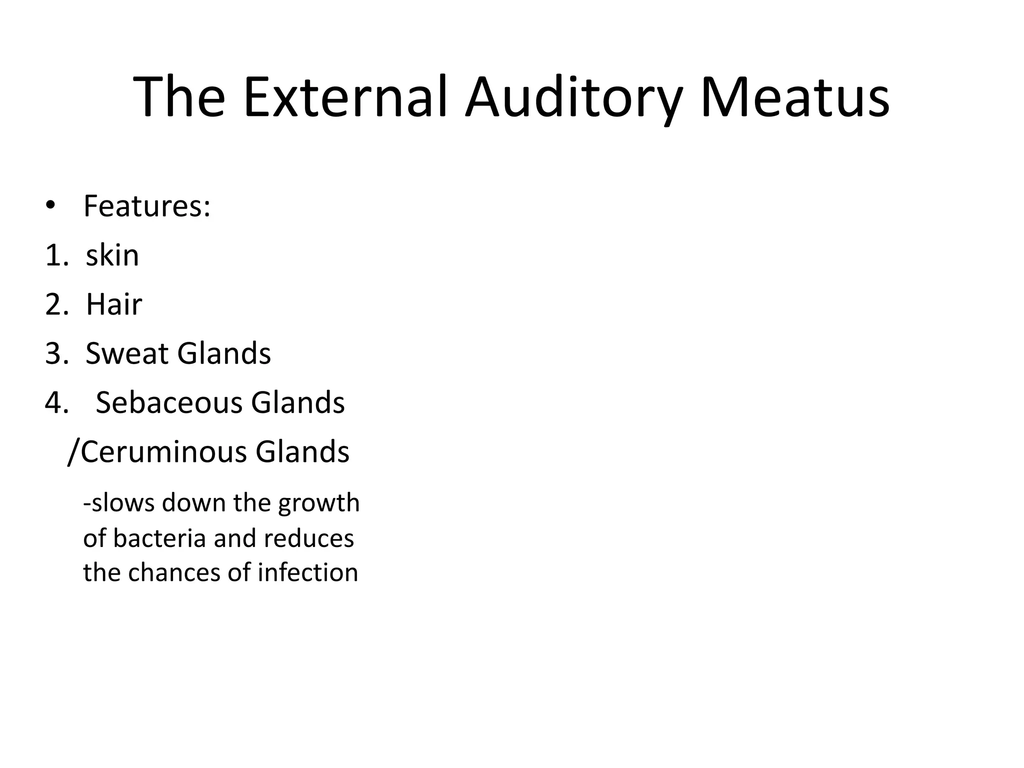 The External Auditory Meatus
• Features:
1. skin
2. Hair
3. Sweat Glands
4. Sebaceous Glands
  /Ceruminous Glands
  -slows down the growth
  of bacteria and reduces
  the chances of infection
 