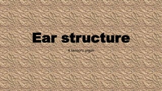 Ear structure
A sensory organ
 