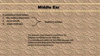 Ear structure | PPTX