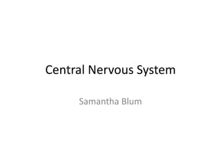 Central Nervous System

     Samantha Blum
 