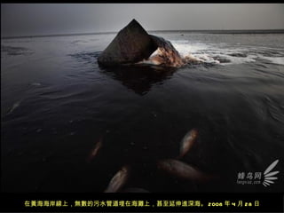 在黃海海岸線上，無數的污水管道埋在海灘上，甚至延伸進深海。 2008 年 4 月 28 日
 