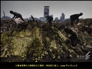 江蘇省泰興化工園區的化工廢料，堆放長江堤上。 2009 年 5 月 1 5 日
 