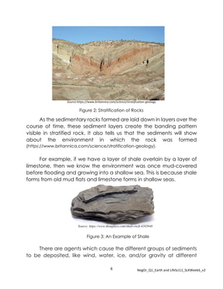 6 NegOr_Q1_Earth and LifeSci11_SLKWeek6_v2
Source:https://www.britannica.com/science/stratification-geology
Figure 2: Stratification of Rocks
As the sedimentary rocks formed are laid down in layers over the
course of time, these sediment layers create the banding pattern
visible in stratified rock. It also tells us that the sediments will show
about the environment in which the rock was formed
(https://www.britannica.com/science/stratification-geology).
For example, if we have a layer of shale overlain by a layer of
limestone, then we know the environment was once mud-covered
before flooding and growing into a shallow sea. This is because shale
forms from old mud flats and limestone forms in shallow seas.
Figure 3: An Example of Shale
There are agents which cause the different groups of sediments
to be deposited, like wind, water, ice, and/or gravity at different
Source: https://www.thoughtco.com/shale-rock-4165848
 