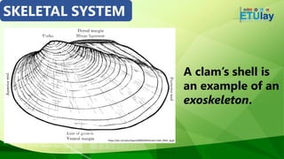 Clam Shell System. Track Earth-and-Life-Science-Q2-Week-5 for students.pdf
