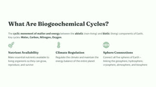 What Are Biogeochemical Cycles?
The cyclic movement of matter and energy between the abiotic (non-living) and biotic (living) components of Earth.
Key cycles: Water, Carbon, Nitrogen, Oxygen.
Nutrient Availability
Make essential nutrients available to
living organisms so they can grow,
reproduce, and survive
Climate Regulation
Regulate the climate and maintain the
energy balance of the entire planet
Sphere Connections
Connect all five spheres of Earth —
linking the geosphere, hydrosphere,
cryosphere, atmosphere, and biosphere
 