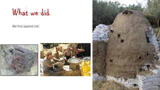 What we did
We first applied cob
 