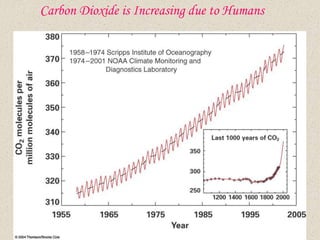Carbon Dioxide is Increasing due to Humans
 