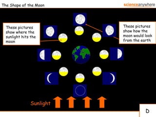 The Shape of the Moon Sunlight D These pictures show how the moon would look from the earth  These pictures show where the sunlight hits the moon  
