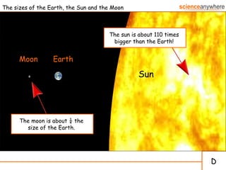 The sizes of the Earth, the Sun and the Moon Moon Earth Sun D The moon is about ¼ the  size of the Earth.  The sun is about 110 times bigger than the Earth! 