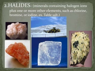 2.HALIDES– (minerals containing halogen ions
plus one or more other elements, such as chlorine,
bromine, or iodine, ex. Table salt.)
 