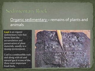 Organic sedimentary – remains of plants and
animals
Coal is an organic
sedimentary rock that
forms from the
accumulation and
preservation of plant
materials, usually in a
swamp environment.
Coal is a combustible rock
and along with oil and
natural gas it is one of the
three most important
fossil fuels.
 