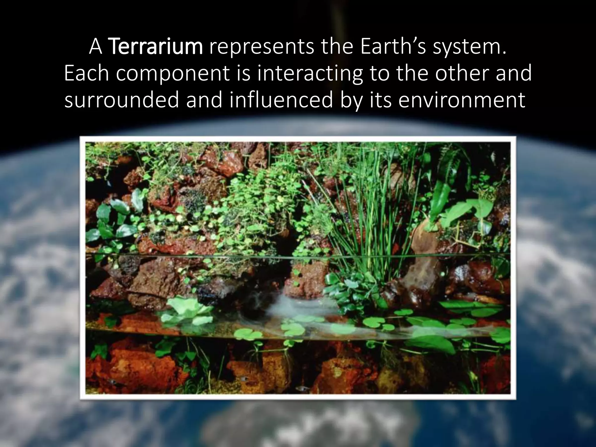 A Terrarium represents the Earth’s system.
Each component is interacting to the other and
surrounded and influenced by its environment.
 
