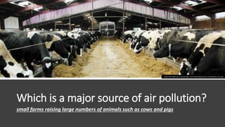 Which is a major source of air pollution?
small farms raising large numbers of animals such as cows and pigs
https://elimu...