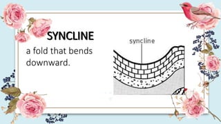 SYNCLINE
a fold that bends
downward.
 