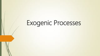 Exogenic Processes
 