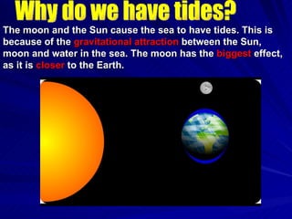 Why do we have tides? The moon and the Sun cause the sea to have tides. This is because of the  gravitational attraction  between the Sun, moon and water in the sea. The moon has the  biggest  effect, as it is  closer  to the Earth.  