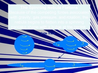 The Spinning Nebula Flattens Because of the competing forces associated with gravity, gas pressure, and rotation, the nebula begins to flatten into a spinning pancake shape with a bulge at the centre.  