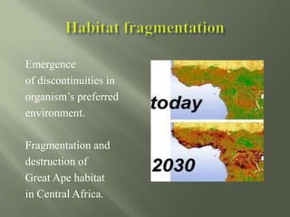 Emergence
of discontinuities in
organism’s preferred
environment.
Fragmentation and
destruction of
Great Ape habitat
in Central Africa.
 