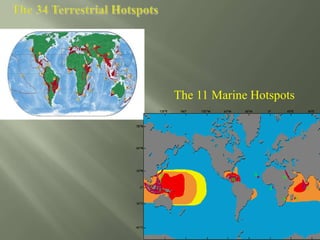 The 11 Marine Hotspots
 