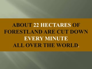 ABOUT 22 HECTARES OF
FORESTLAND ARE CUT DOWN
EVERY MINUTE
ALL OVER THE WORLD.
 