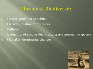 1. Loss/degradation of habitat
2. Overexploitation of resources
3. Pollution
4. Extinction of species due to aggressive non-native species
5. Global environmental changes
 