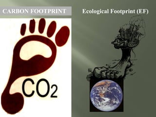 CARBON FOOTPRINT Ecological Footprint (EF)
 