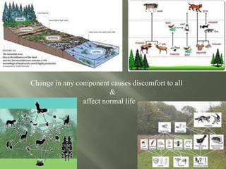 Change in any component causes discomfort to all
&
affect normal life
 