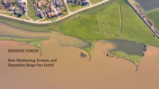 EXOGENIC FORCES
How Weathering, Erosion, and
Deposition Shape Our Earth?
 