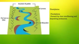 Floodplains
-Floodplains
-Formed by river overflowing and
depositing sediments.
 