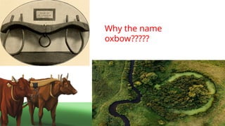 Why the name
oxbow?????
 