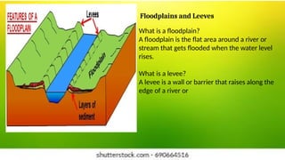 Floodplains and Leeves
What is a floodplain?
A floodplain is the flat area around a river or
stream that gets flooded when the water level
rises.
What is a levee?
A levee is a wall or barrier that raises along the
edge of a river or
 