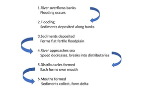 1.River overflows banks
Flooding occurs
2.Flooding
Sediments deposited along banks
3.Sediments deposited
Forms flat fertile floodplain
4.River approaches sea
Speed decreases, breaks into distributaries
5.Distributaries formed
Each forms own mouth
6.Mouths formed
Sediments collect, form delta
 