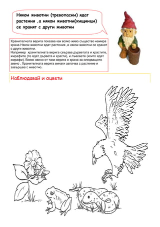 Някои животни (тревопасни) ядат
   растения ,а някои животни(хищници)
   се хранят с други животни


Хранителната верига показва как всяко живо същество намира
храна.Някои животни ядат растения ,а някои животни се хранят
с други животни.
Например хранителната верига свързва дърветата и храстите,
жирафите (те ядат дървета и храсти), и лъвовете (които ядат
жирафи). Всяко звено от тази верига е храна за следващото
звено . Хранителната верига винаги започва с растение и
завършва с животно.


Наблюдавай и оцвети




                                                               13
 