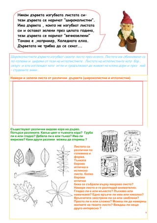 Някои дървета изгубвата листата си–
    тези дървета се наричат “широколистни”.
    Има дървета , които не изгубват листата
    си и остават зелени през цялата година,
    тези дървета се наричат “вечнозелени”
    Такава е ,например, Коледната елха.
    Дърветата не трябва да се секат...

Широколистните дървета изгубват своите листа през есента. Листата им обикновено са
по-големи и широки от тези на иглолистните . Листата на иглолистните като бор ,
смърч и ела изглеждат като игли и продължават да живеят на клона дори и през най
– студените зими .

Намери и залепи листа от различни дървета (широколистни и иглолистни)




Съществуват различни видове кора на дърво.
Потърси разликите. Какъв цвят е тъмната кора? Груба
ли е или гладка? Дебела ли е или тънка? Има ли
миризма? Каки други разлики можеш да откриеш ?

                                       Листата са
                                       различни по
                                       големина и
                                       форма.
                                       Тънката
                                       борова
                                       игличка е
                                       истинско
                                       листо. Колко
                                       борови
                                       иглички
                                       биха се събрали върху яворово листо?
                                       Намери листо и го разгледай внимателно.
                                       Гладко ли е или мъхесто? Лъскаво или
                                       намачкано? Едно връхче ли има или няколко?
                                       Връхчетата заострени ли са или заоблени?
                                       Просто ли е или сложно? Можеш ли да намериш
                                       жилките на твоето листо? Виждаш ли нещо
                                       друго интересно ?
                                                                                     6
 