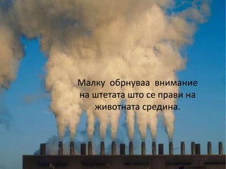 Малку обрнуваа внимание
на штетата што се прави на
животната средина.
 