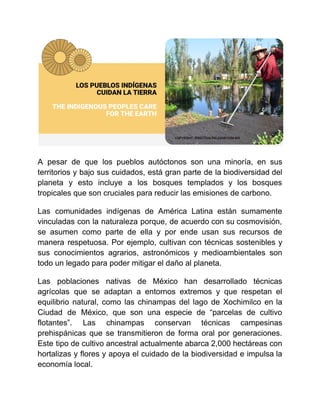 A pesar de que los pueblos autóctonos son una minoría, en sus
territorios y bajo sus cuidados, está gran parte de la biodiversidad del
planeta y esto incluye a los bosques templados y los bosques
tropicales que son cruciales para reducir las emisiones de carbono.
Las comunidades indígenas de América Latina están sumamente
vinculadas con la naturaleza porque, de acuerdo con su cosmovisión,
se asumen como parte de ella y por ende usan sus recursos de
manera respetuosa. Por ejemplo, cultivan con técnicas sostenibles y
sus conocimientos agrarios, astronómicos y medioambientales son
todo un legado para poder mitigar el daño al planeta.
Las poblaciones nativas de México han desarrollado técnicas
agrícolas que se adaptan a entornos extremos y que respetan el
equilibrio natural, como las chinampas del lago de Xochimilco en la
Ciudad de México, que son una especie de “parcelas de cultivo
flotantes”. Las chinampas conservan técnicas campesinas
prehispánicas que se transmitieron de forma oral por generaciones.
Este tipo de cultivo ancestral actualmente abarca 2,000 hectáreas con
hortalizas y flores y apoya el cuidado de la biodiversidad e impulsa la
economía local.
 