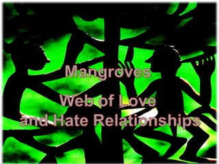 Mangrove conservation forum