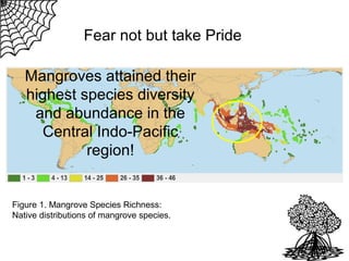 Fear not but take Pride
Mangroves attained their
highest species diversity
and abundance in the
Central Indo-Pacific
region!

Figure 1. Mangrove Species Richness:
Native distributions of mangrove species.

 