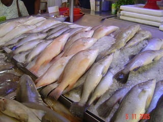 Ideal Fish Nurseries

 