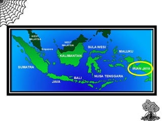 Mangrove conservation forum