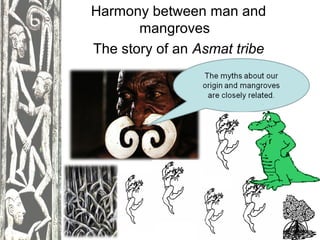 Harmony between man and
mangroves
The story of an Asmat tribe

 