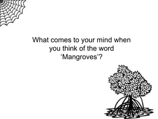 What comes to your mind when
you think of the word
‘Mangroves’?

 