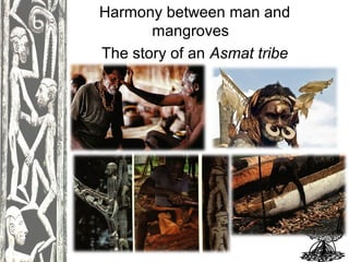 Harmony between man and
mangroves
The story of an Asmat tribe

 