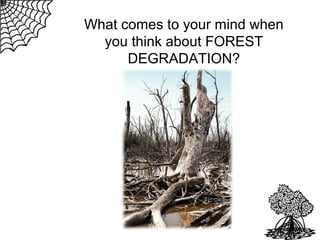 What comes to your mind when
you think about FOREST
DEGRADATION?

 