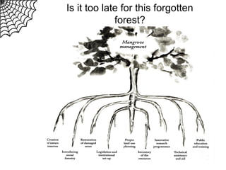 Is it too late for this forgotten
forest?

 