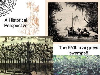 A Historical
Perspective

The EVIL mangrove
swamps!!

 